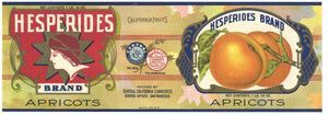Hesperides Brand Vintage Apricot Can Label