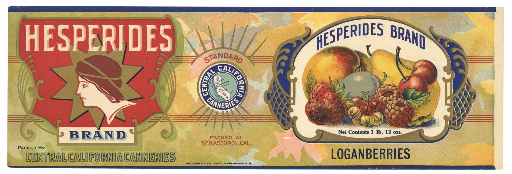 Hesperides Brand Vintage Loganberries Can Label