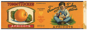 Tommy Tucker Brand Vintage Apricot Can Label