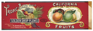 Tropic Bird Brand Vintage Plum Can Label