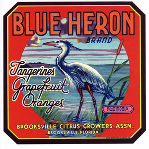 Blue Heron Brand Vintage Brooksville Florida Citrus Crate Label