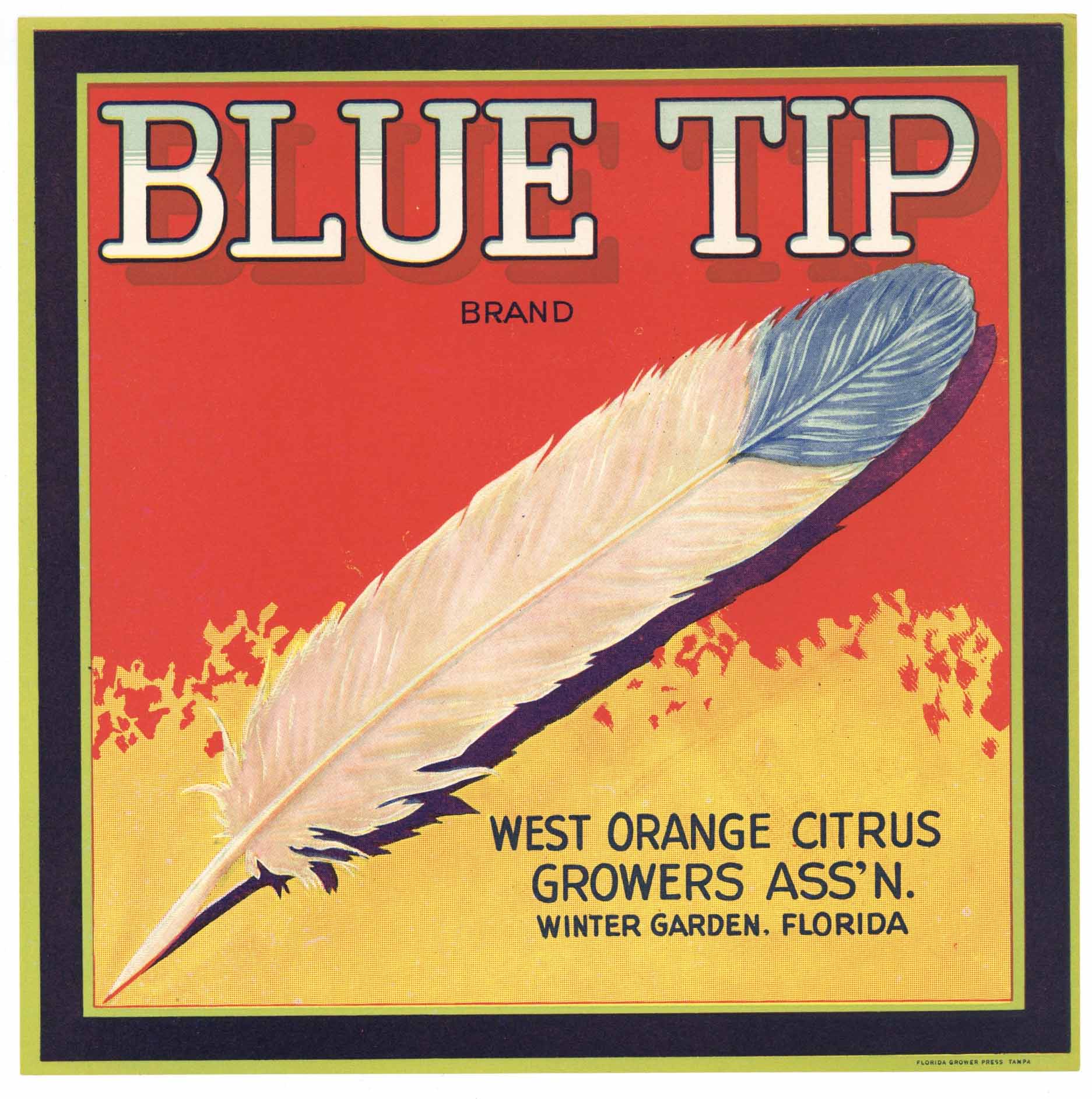 Blue Tip Brand Vintage Winter Garden Florida Citrus Crate Label