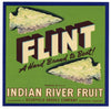 Flint Brand Vintage Wabasso Florida Citrus Crate Label