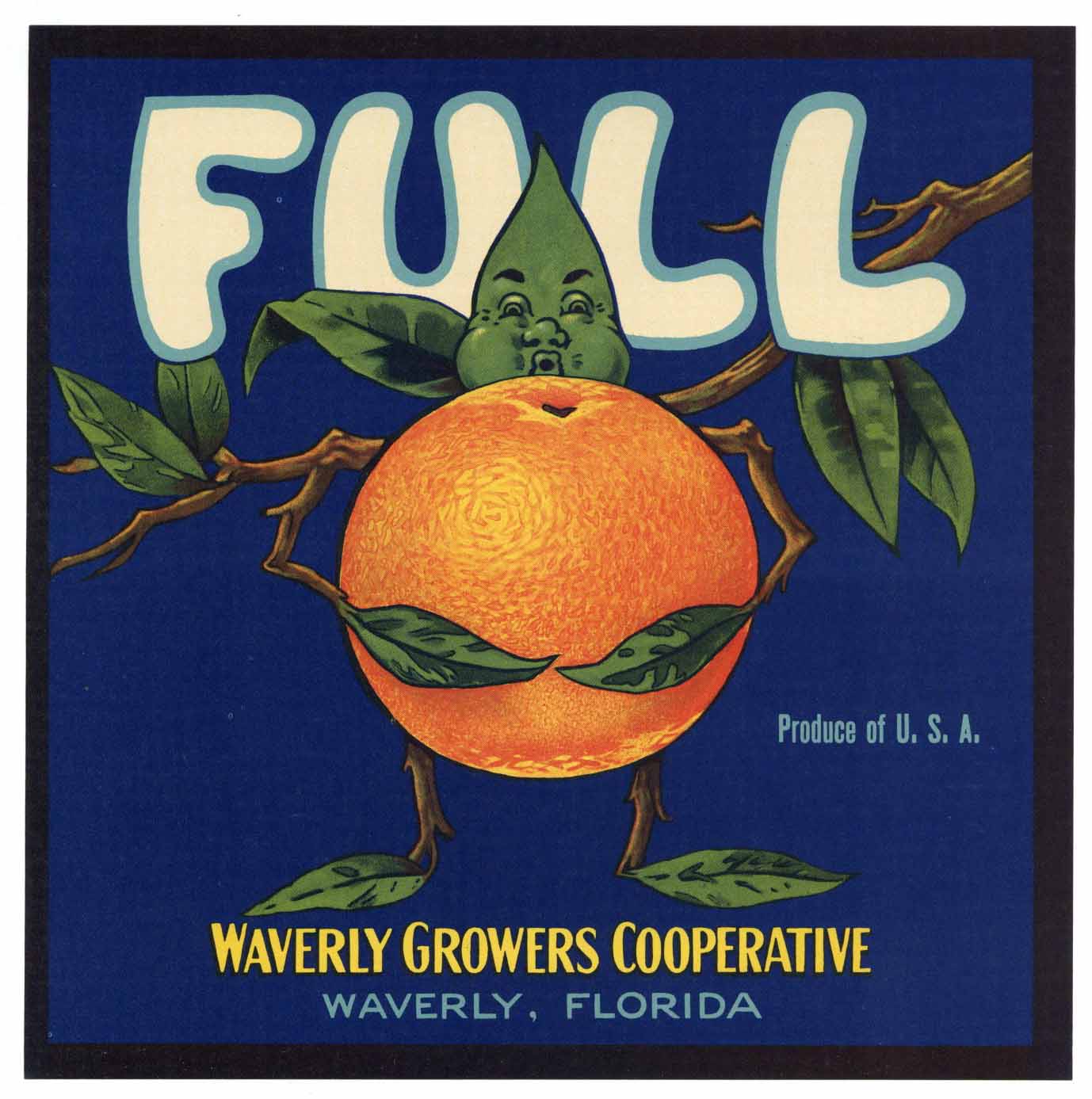 Full Brand Vintage Waverly Florida Citrus Crate Label