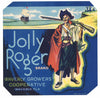 Jolly Roger Brand Vintage Waverly Florida Citrus Crate Label
