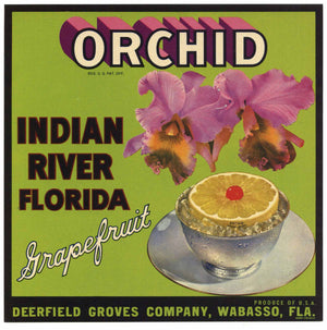 Orchid Brand Vintage Wabasso Florida Citrus Crate Label, L