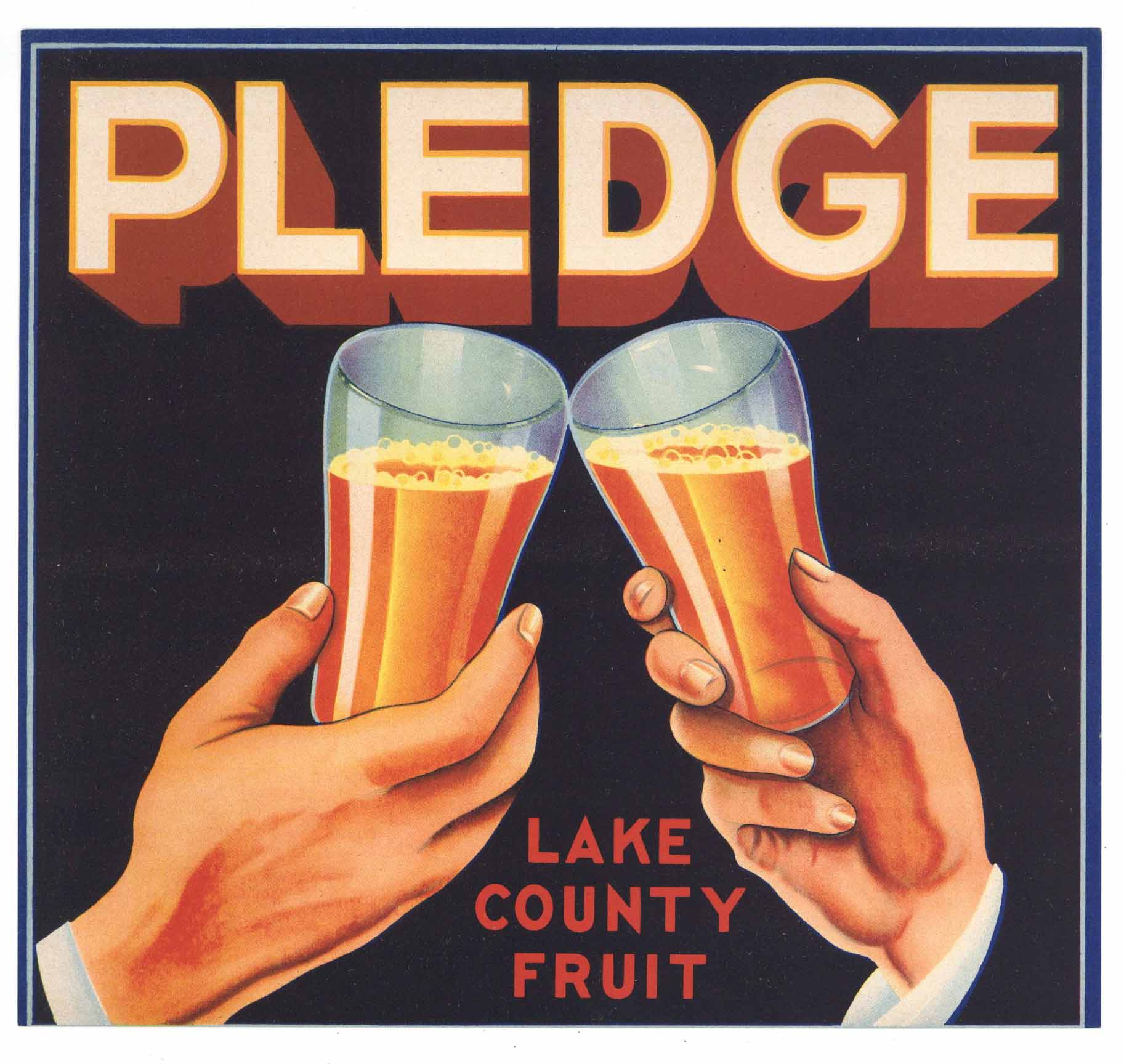 Pledge Brand Vintage Lake County Florida Citrus Crate Label – thelabelman
