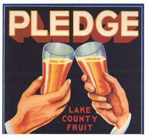 Pledge Brand Vintage Lake County Florida Citrus Crate Label