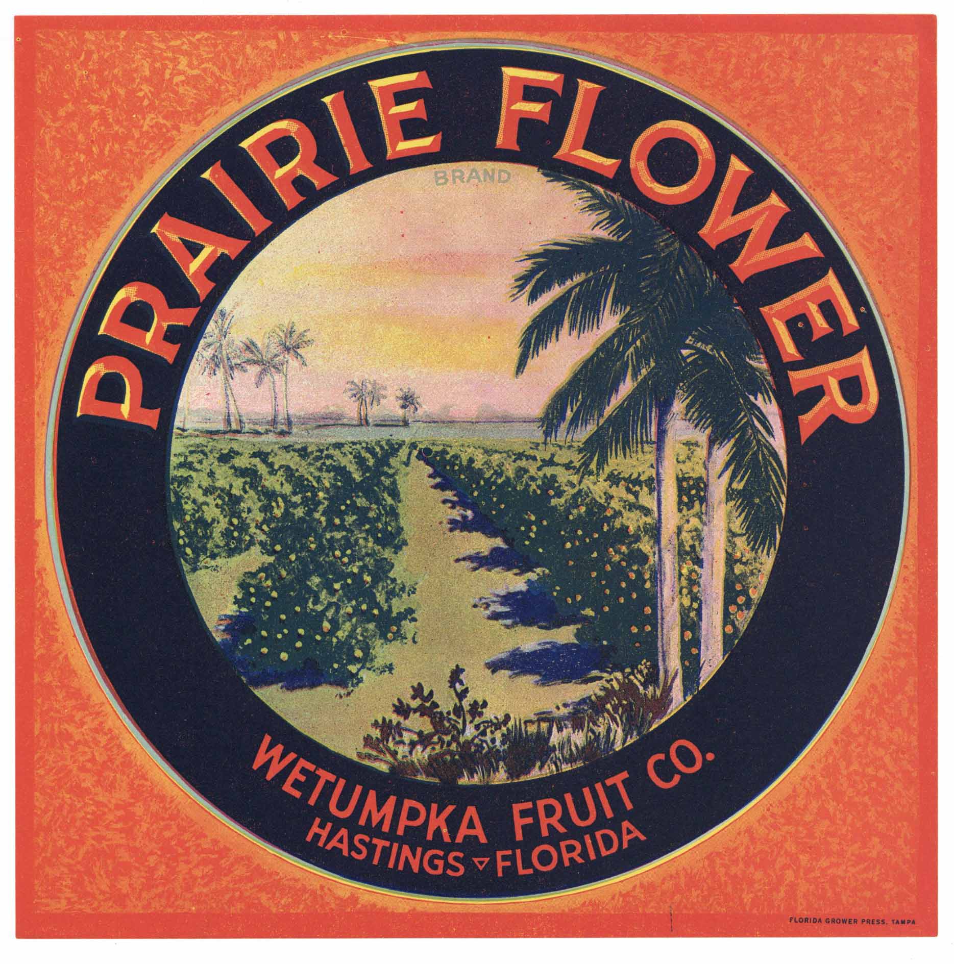 Prairie Flower Brand Vintage Hastings Florida Citrus Crate Label, L