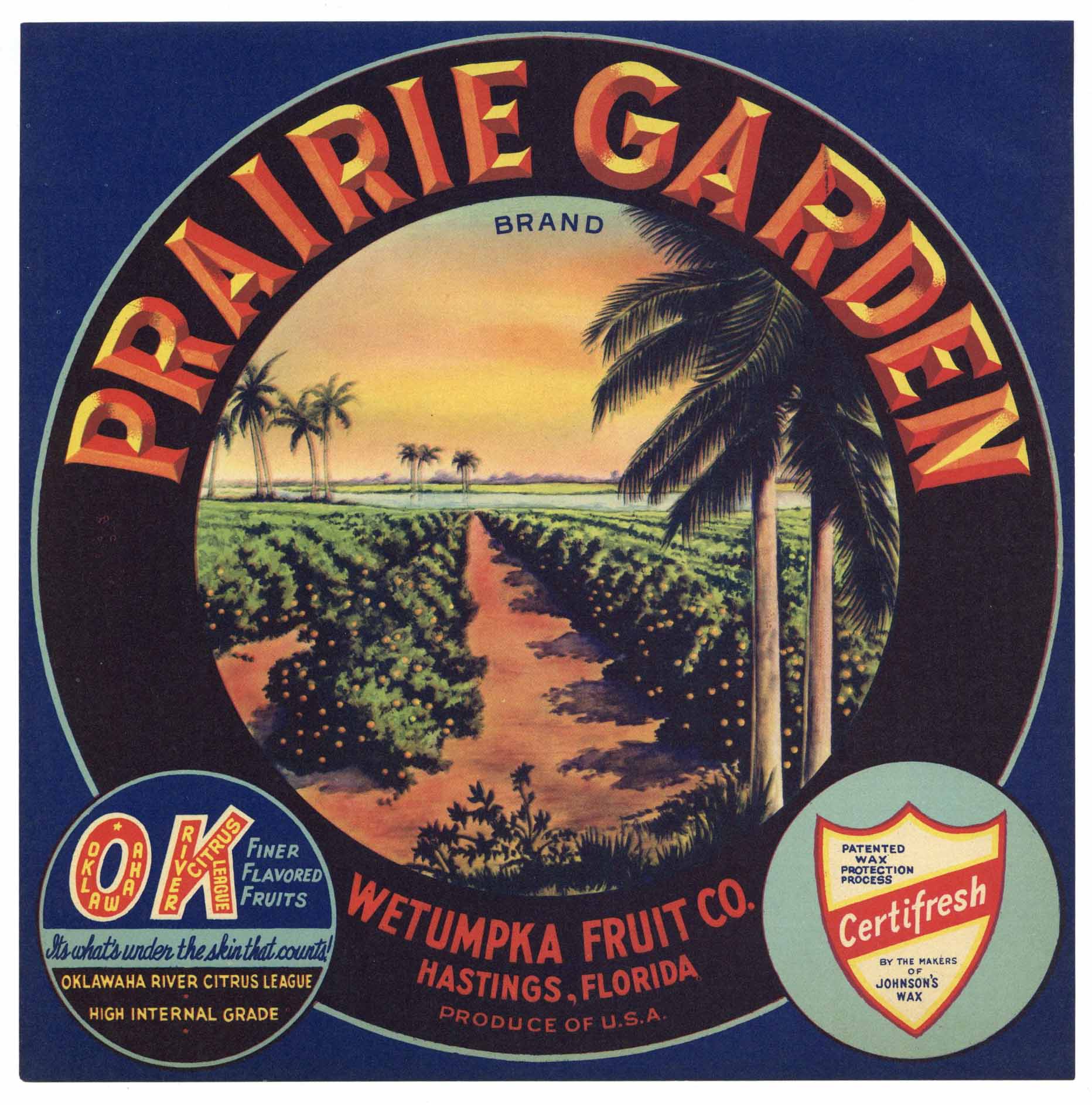 Prairie Garden Brand Vintage Hastings Florida Citrus Crate Label