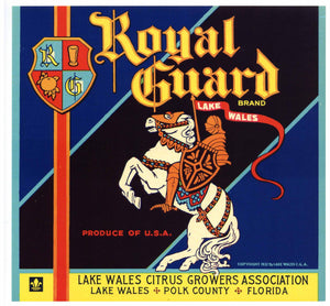 Royal Guard Brand Vintage Lake Wales Florida Citrus Crate Label