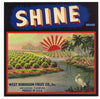 Shine Brand Vintage Orlando Florida Citrus Crate Label
