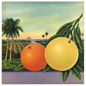 Stock #7094 Vintage Florida Citrus Crate Label