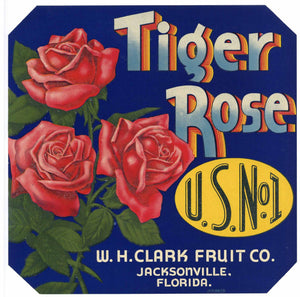 Tiger Rose Brand Vintage Jacksonville Florida Citrus Crate Label