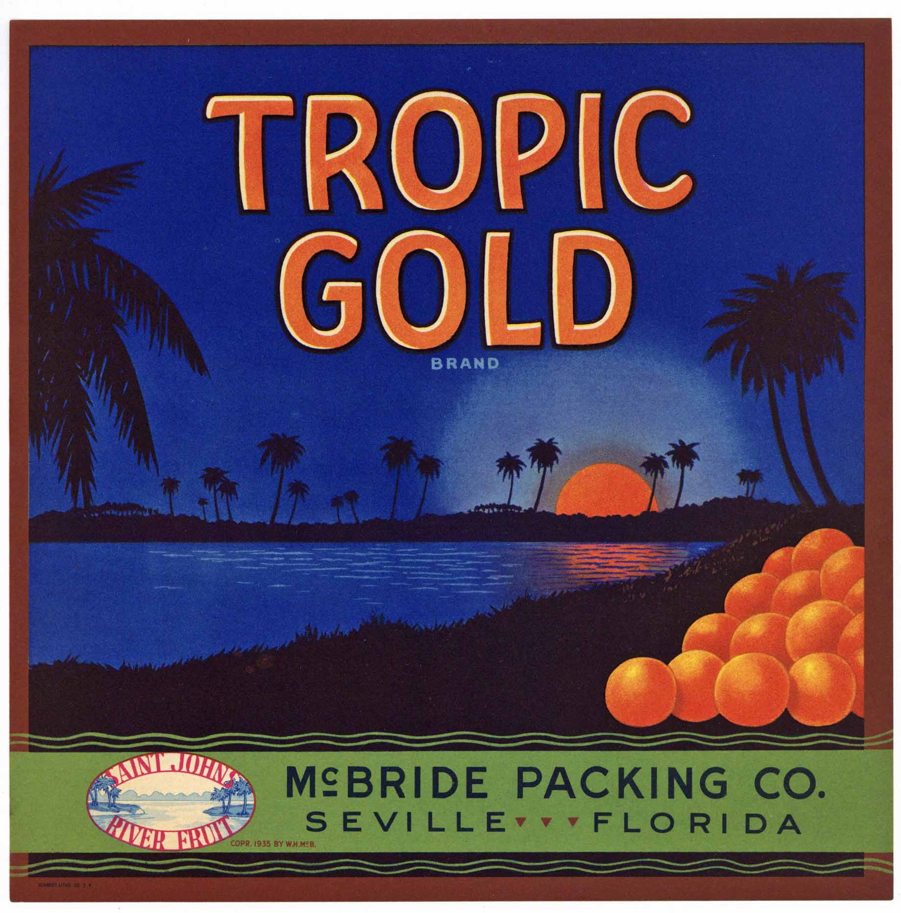Tropic Gold Brand Vintage Seville Florida Citrus Crate Label 9x9