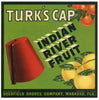 Turk's Cap Brand Vintage Wabasso Florida Citrus Crate Label