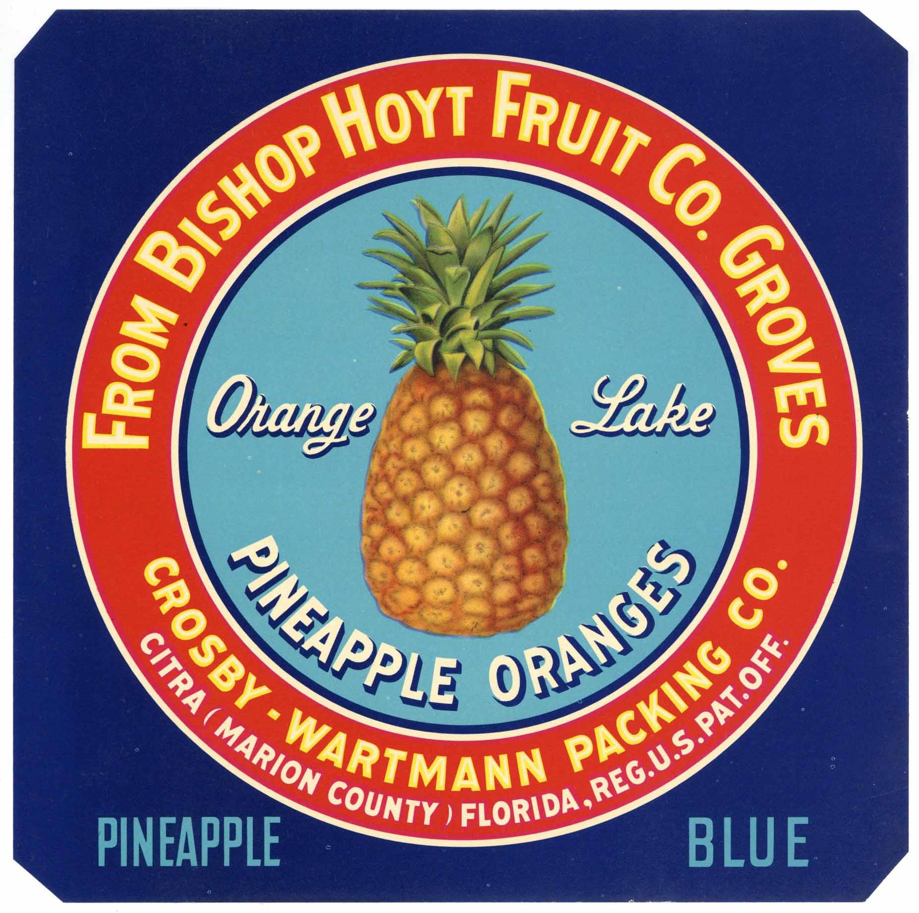 Pineapple Oranges Brand Vintage Citra Florida Citrus Crate Label, blue