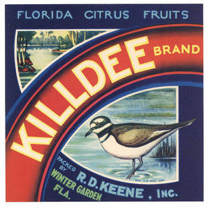 Killdee Brand Vintage Winter Garden Florida Citrus Crate Label