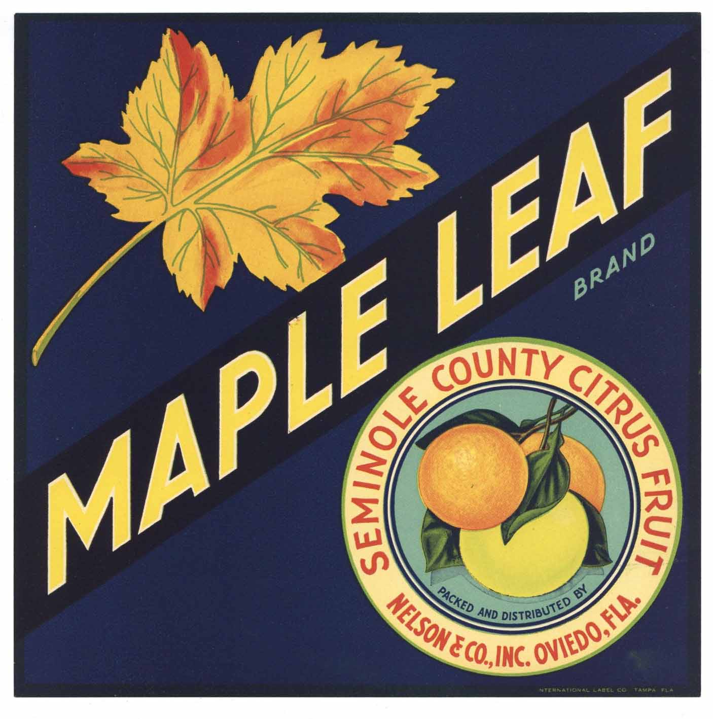 Maple Leaf Brand Vintage Oviedo Florida Citrus Crate Label, L