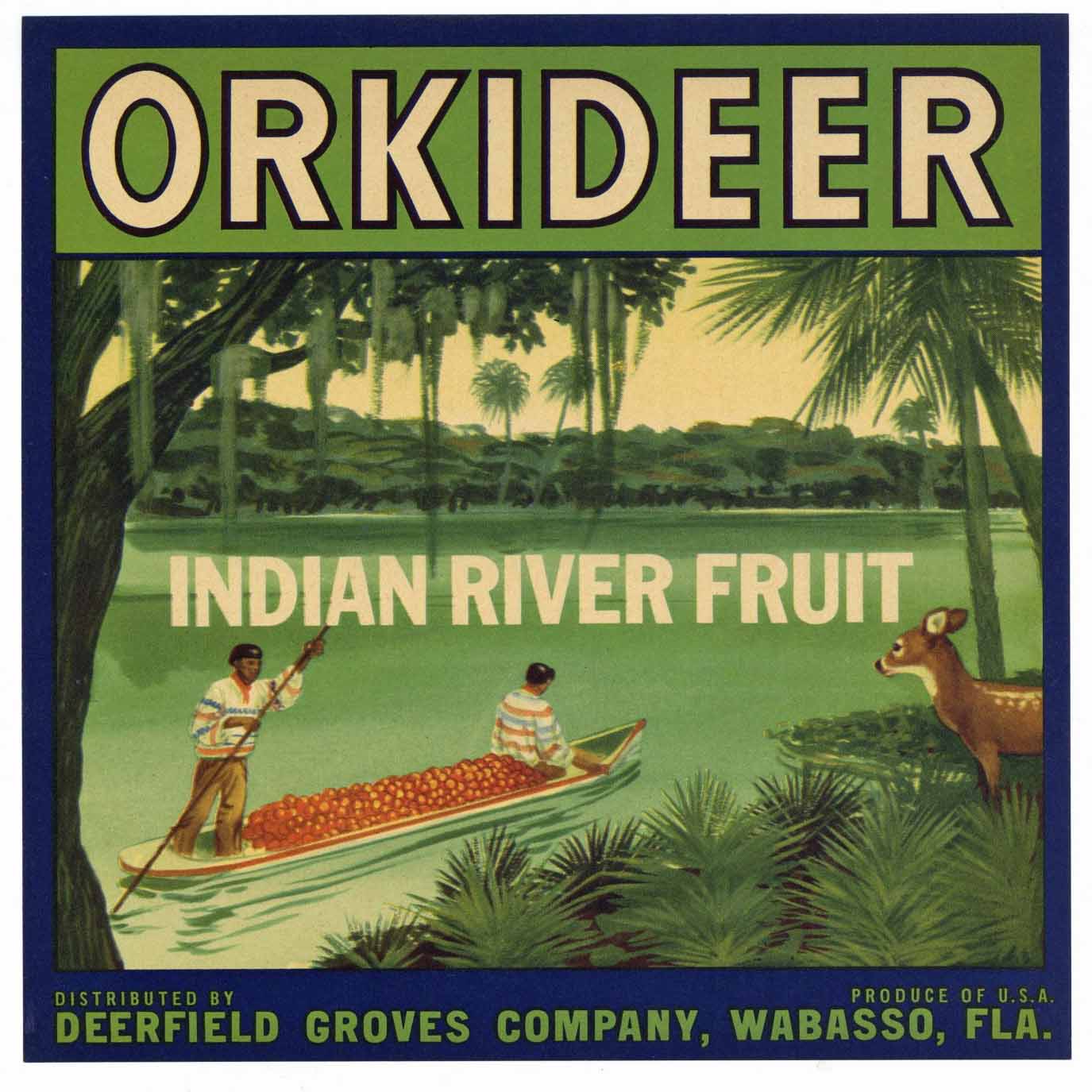 Orkideer Brand Vintage Wabasso Florida Citrus Crate Label