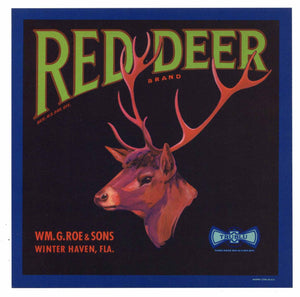 Red Deer Brand Vintage Winter Haven Florida Citrus Crate Label