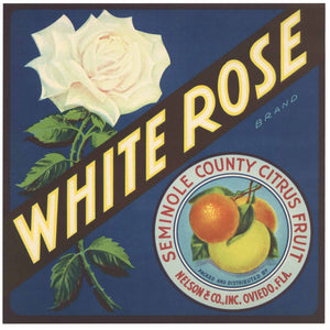 White Rose Brand Vintage Oviedo Florida Citrus Crate Label, L