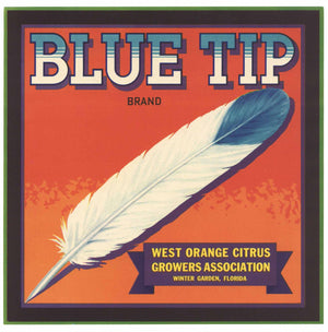 Blue Tip Brand Vintage Winter Garden Florida Citrus Crate Label, box