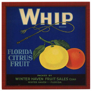 Whip Brand Vintage Winter Haven Florida Citrus Crate Label 7x7