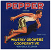 Pepper Brand Vintage Waverly Florida Citrus Crate Label, L
