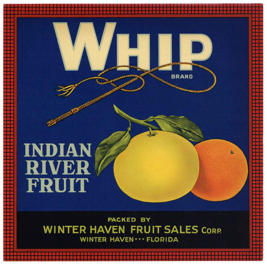 Whip Brand Vintage Winter Haven Florida Citrus Crate Label 9x9