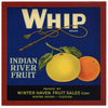 Whip Brand Vintage Winter Haven Florida Citrus Crate Label 9x9