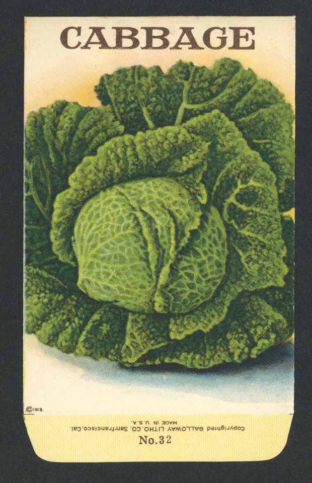 Cabbage Antique Stock Seed Packet – thelabelman