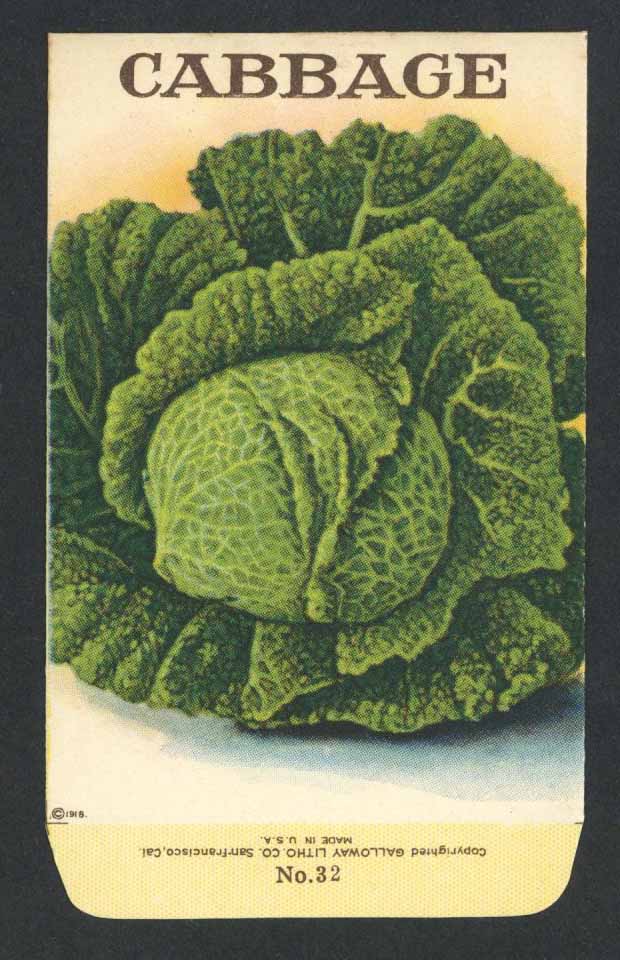 Cabbage Antique Stock Seed Packet