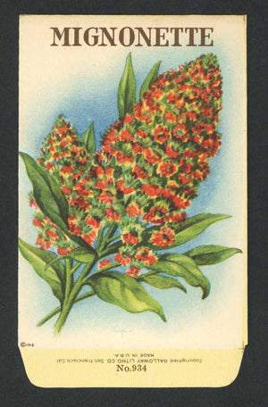 Mignonette Antique Stock Seed Packet
