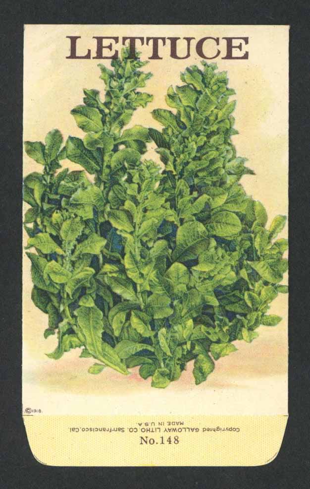 Lettuce Antique Stock Seed Packet