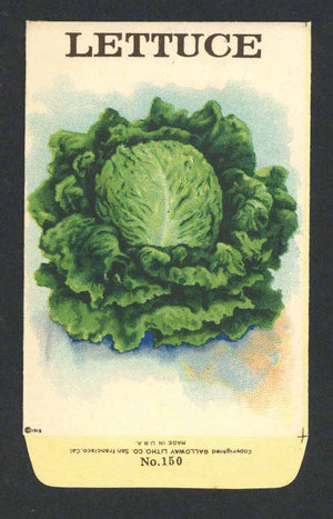 Lettuce Antique Stock Seed Packet