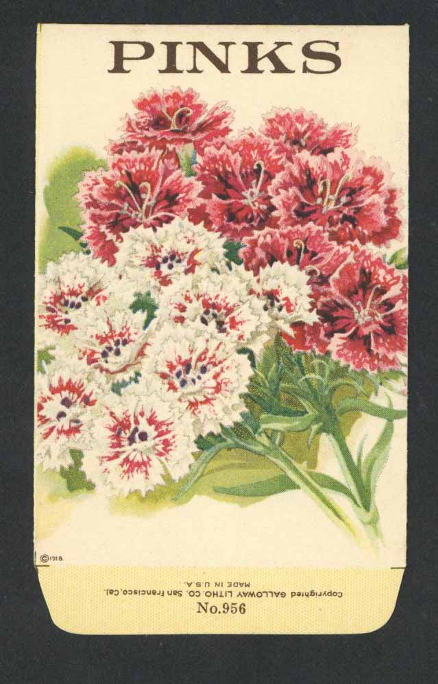 Pinks Antique Stock Seed Packet