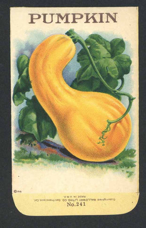 Pumpkin Antique Stock Seed Packet