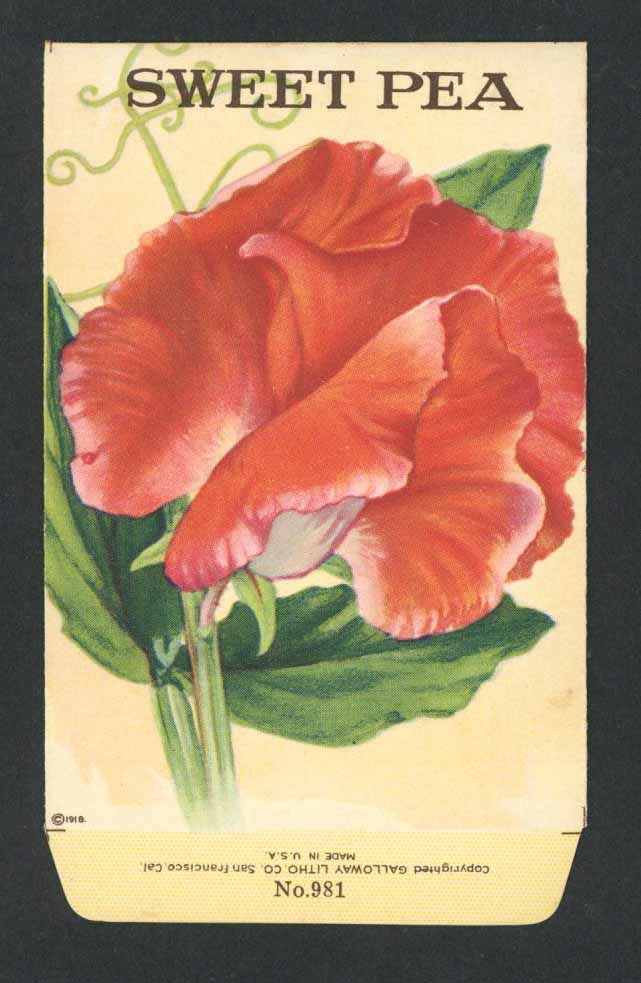 Sweet Pea Antique Stock Seed Packet
