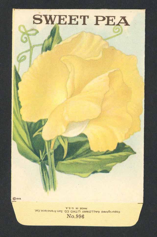 Sweet Pea Antique Stock Seed Packet