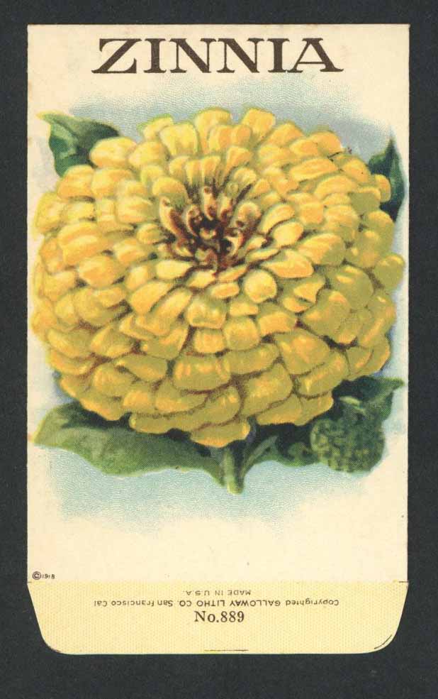 Zinnia Antique Stock Seed Packet