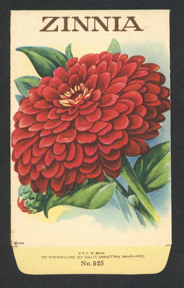 Zinnia Antique Stock Seed Packet