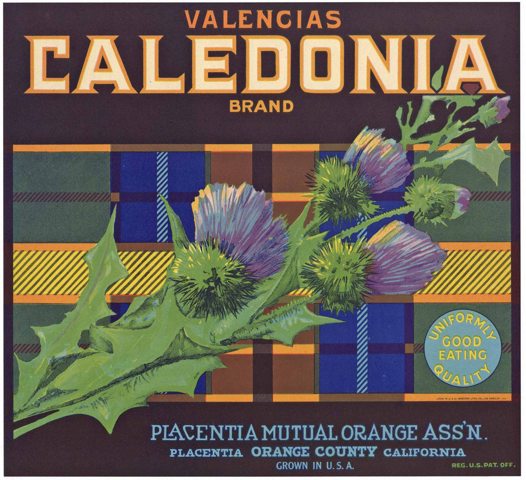 Caledonia Brand Vintage Placentia Orange Crate Label, Uniformly Good