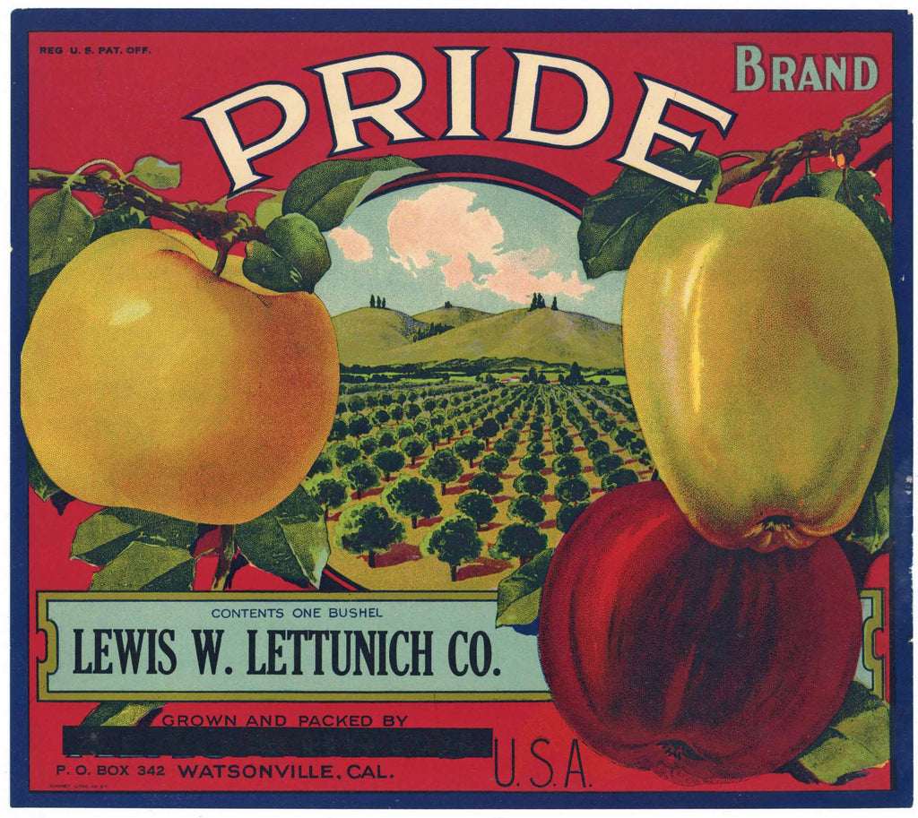 Pride Brand Vintage Watsonville California Apple Crate Label