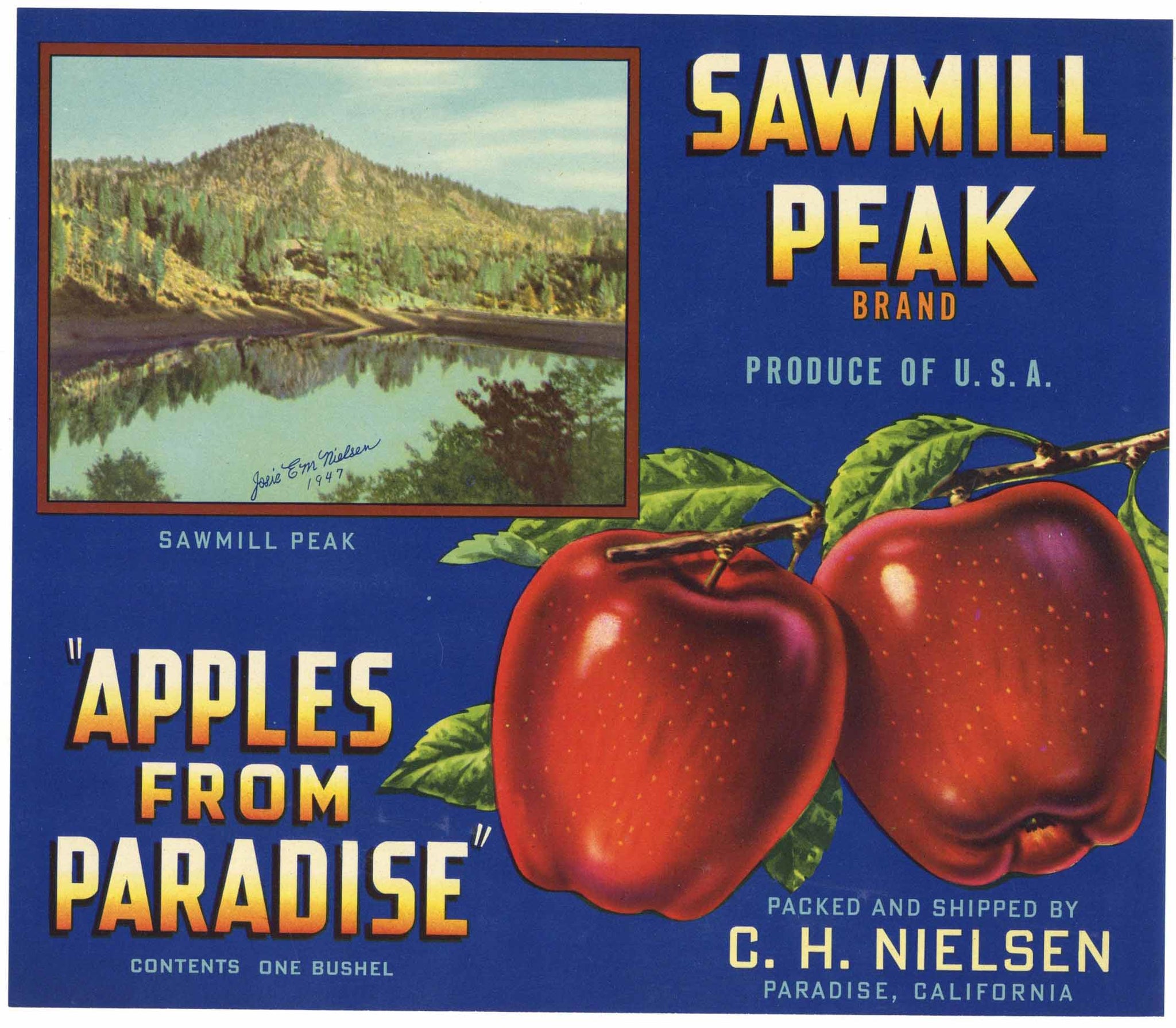 Sawmill Peak Brand Vintage Paradise California Apple Crate Label, Nielsen