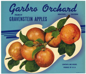 Garbro Orchard Brand Vintage Sebastopol California Apple Crate Label