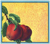 Stock No. 260 Apple Crate Label