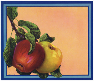 Stock No. 249 Apple Crate Label