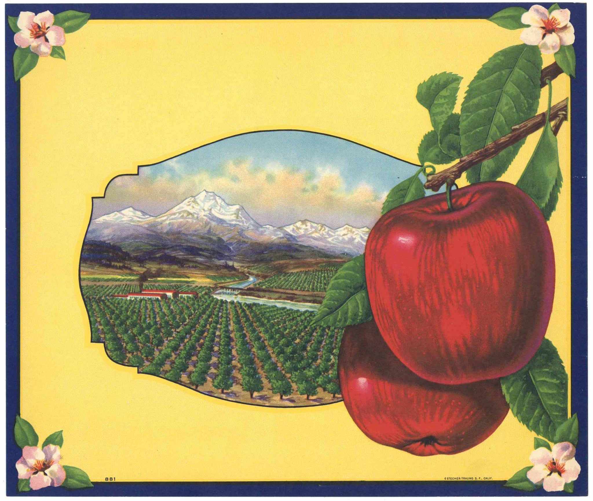 Stock No. 881 Apple Crate Label