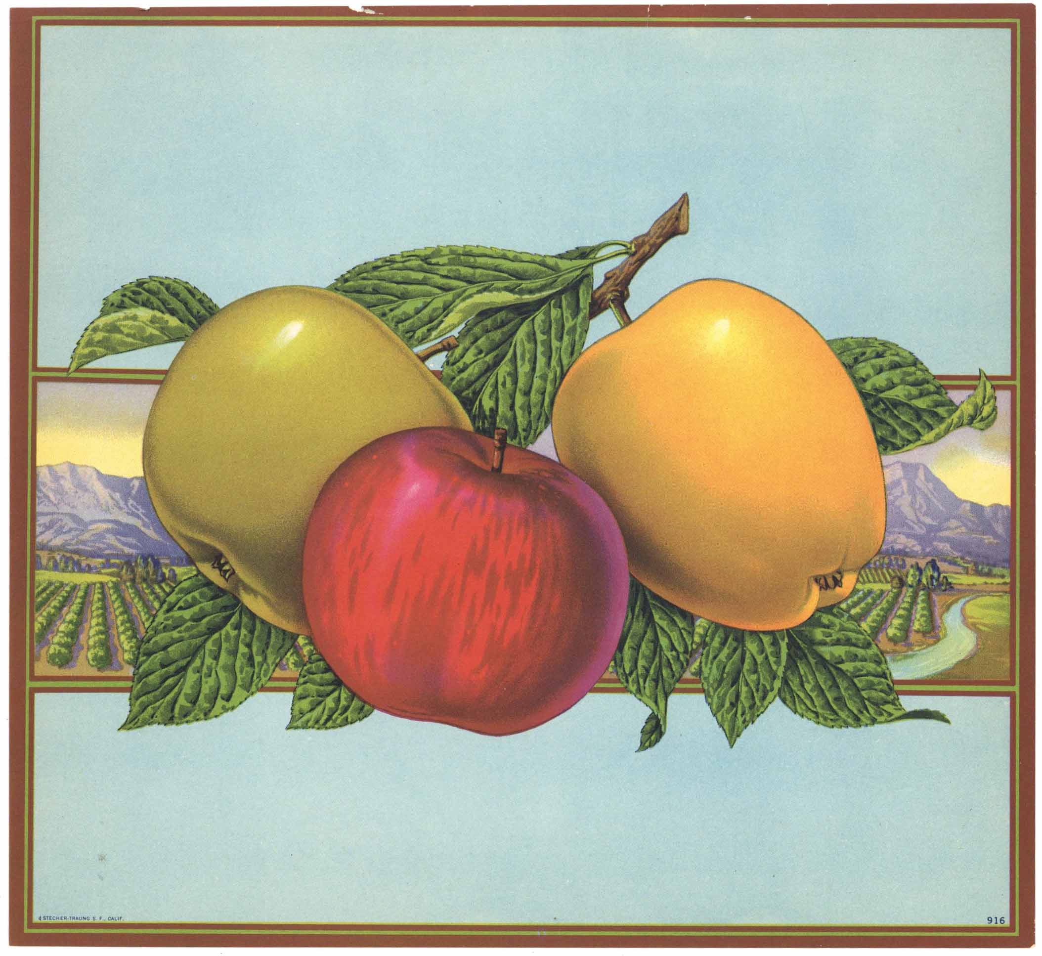Stock No. 916 Apple Crate Label – thelabelman